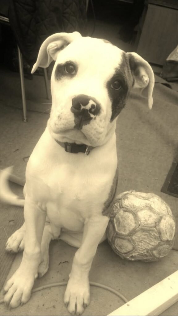 latelierdessaisons milo